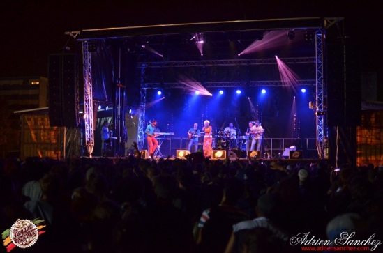 Photo RSS17 Reggae Sun Ska Vendredi 1 Août 2014 Bordeaux Photographe Adrien Sanchez Infante Madness on stage (4)
